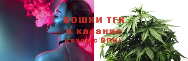 мдпв Магас