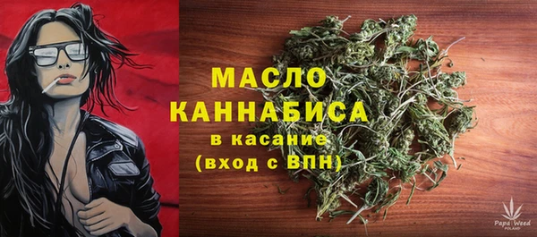 мдпв Магас