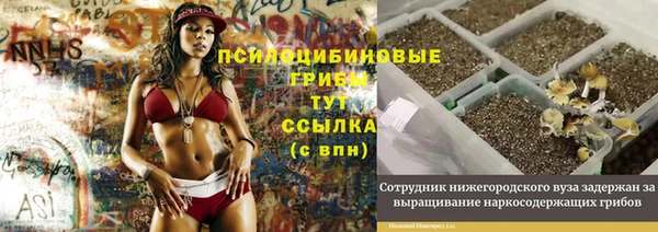 ешки Магадан