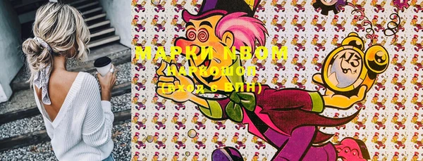 мдпв Магас
