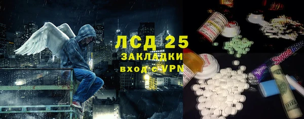 мдпв Магас