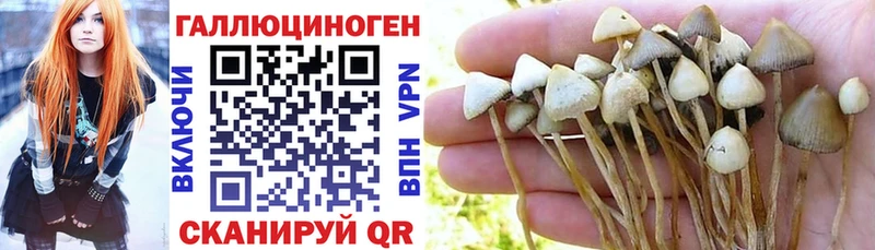 Галлюциногенные грибы прущие грибы  Купить  Арамиль 